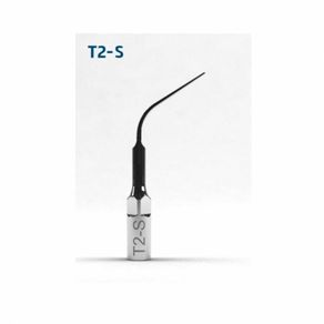 T2-S_1